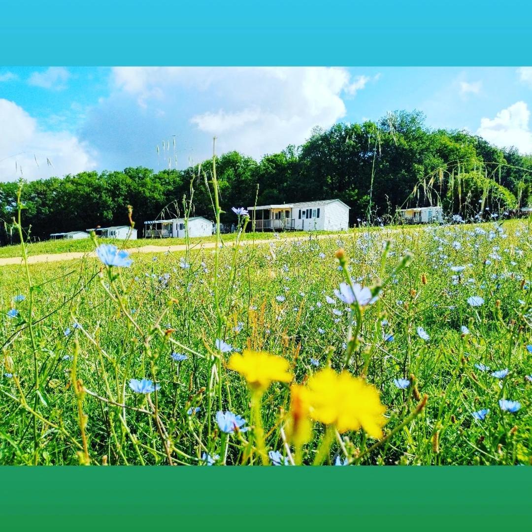 Camping Nature Le Valenty Mobil-Home-Dordogne Panoramique Clim Piscine Soturac Екстер'єр фото