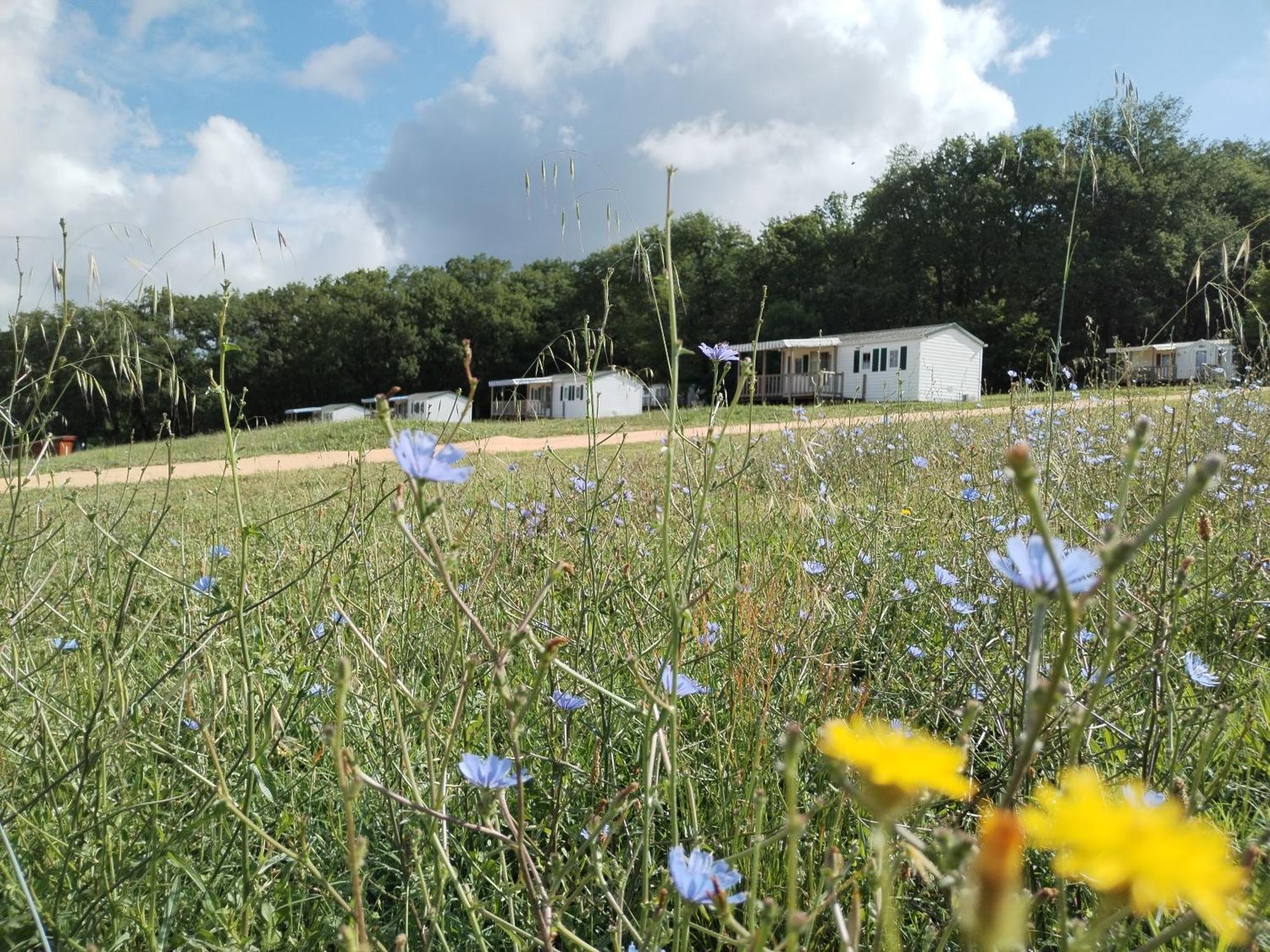 Camping Nature Le Valenty Mobil-Home-Dordogne Panoramique Clim Piscine Soturac Екстер'єр фото