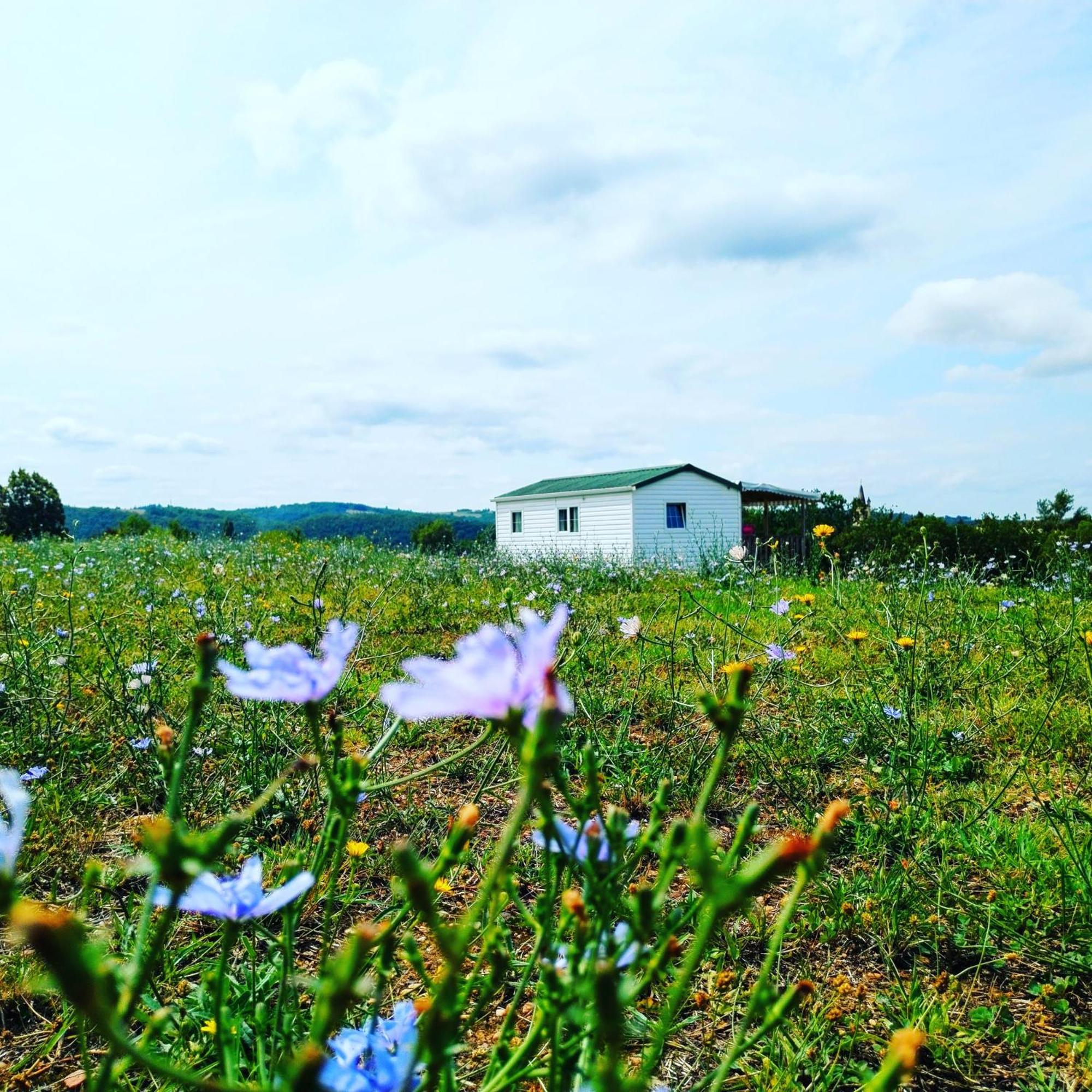 Camping Nature Le Valenty Mobil-Home-Dordogne Panoramique Clim Piscine Soturac Екстер'єр фото