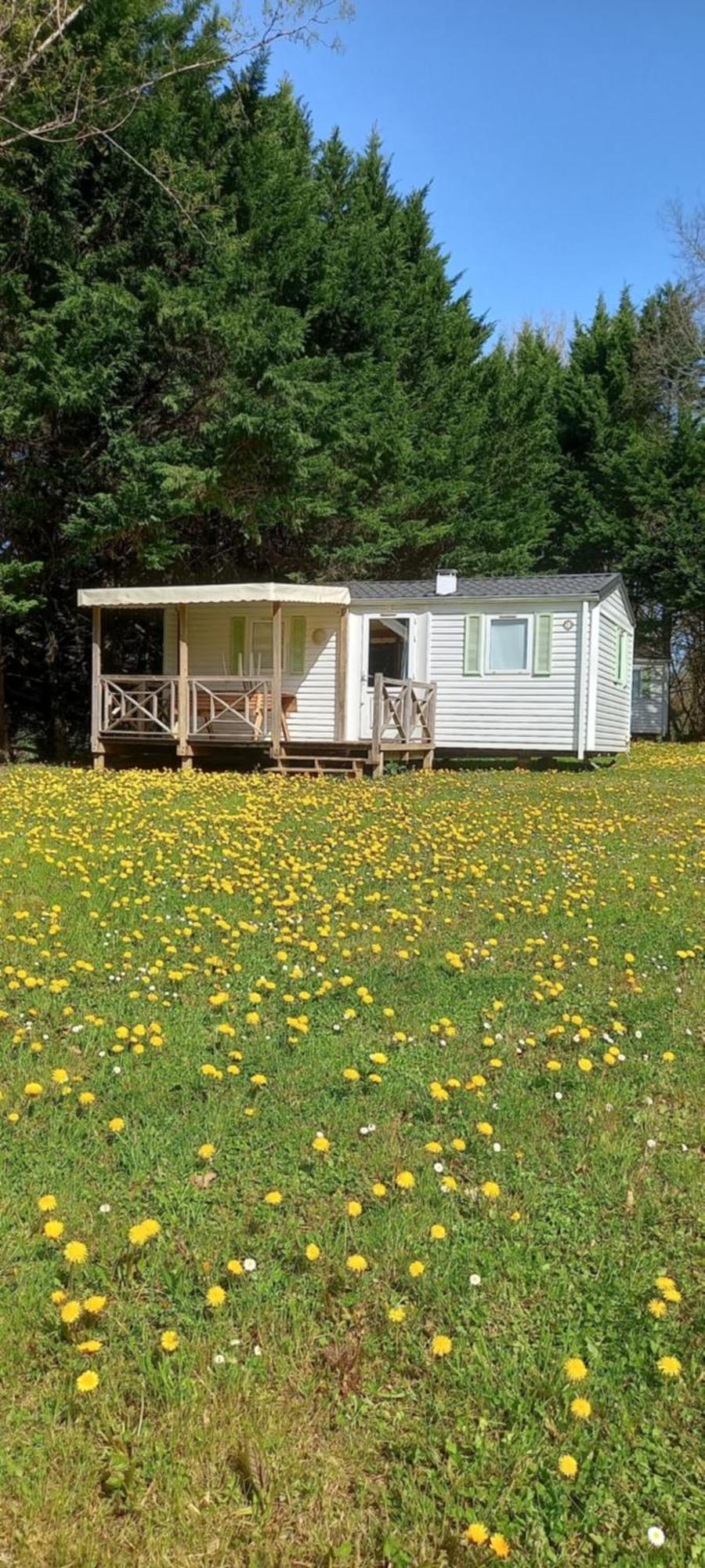 Camping Nature Le Valenty Mobil-Home-Dordogne Panoramique Clim Piscine Soturac Екстер'єр фото